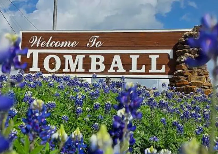 Welcome to Tomball sign surrounded by bluebonnets in Tomball, Texas